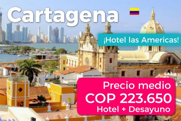 ejemplo-galeria-9921AF02FC-8553-5F18-1C2D-A6C701A5A465.jpg
